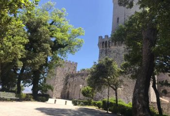 107002823_272045620882454_7221585033572752967_n